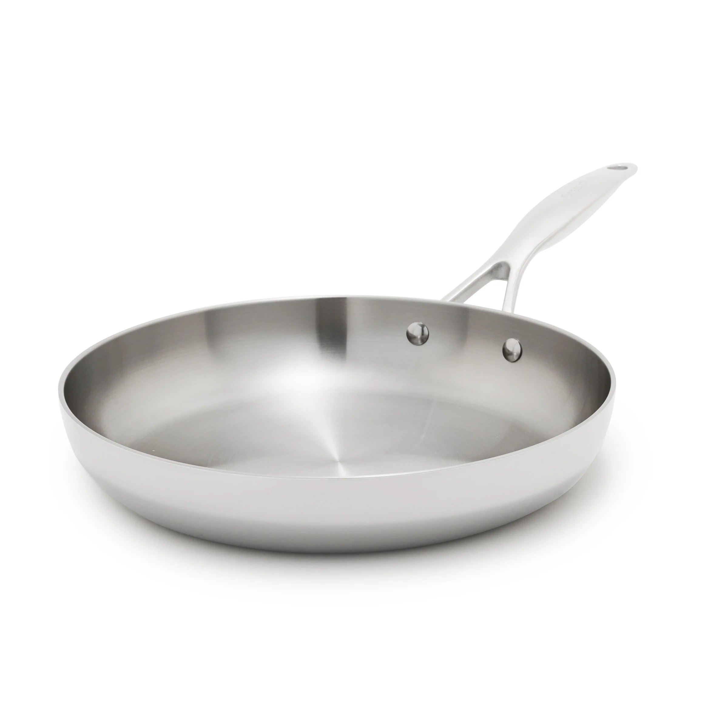 Valencia Pro Stainless Steel Uncoated 10 Frypan